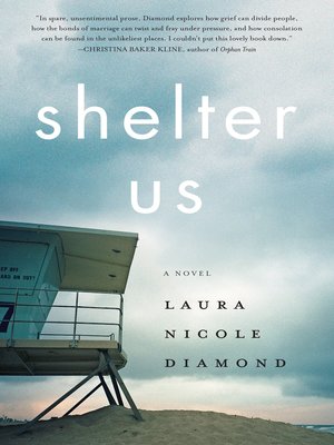 cover image of Shelter Us